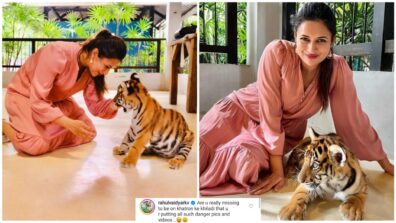 Divyanka Tripathi poses with tiger cub, Rahul Vaidya asks, “are you missing Khatron Ke Khiladi?