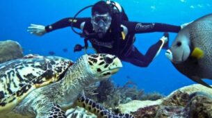 From Scuba Diving To Watching Dolphins: Here’s Everything You Can Enjoy At Andaman And Nicobar Islands