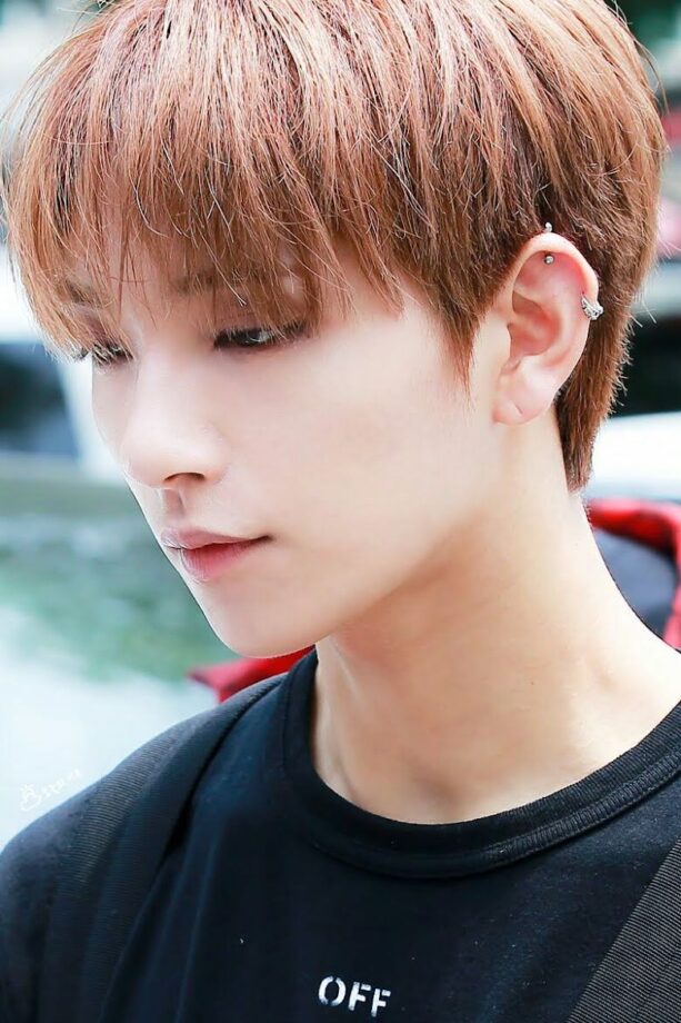 How Many Piercings Do SEVENTEEN Members Have? Answers Here - 12