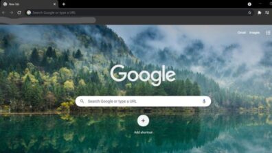 How To Find Downloaded Themes In Google Chrome?