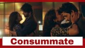 Imlie Spoiler Alert: Aryan and Imlie consummate