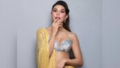 Jacqueline Fernandez Looks Stunning In These Sequin, Embellished, And Glittery Sarees