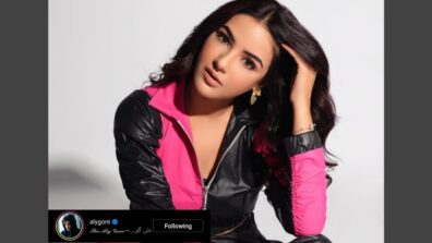 Jasmin Bhasin takes vogue inspiration from ‘Pink ranger’ of Power Rangers SPD, Aly Goni loves it