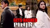 Kaan se khun nikalne laga: Asim Riaz & Himanshi Khurana’s Pinjara Gets Bashed By Netizens; Check