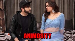 Kundali Bhagya spoiler alert: Animosity between Karan and Preeta to rise