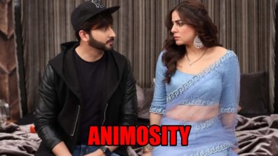 Kundali Bhagya spoiler alert: Animosity between Karan and Preeta to rise