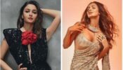 Look Upto Alia Bhatt And Malaika Arora For Insight On How To Wear Sequins