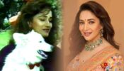 Madhuri Dixit’s Old Video From Hum Aapke Hain Kaun Goes Viral: Fans Call It Golden days of Bollywood