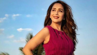 Madhuri Dixit’s Top Movies You Could Not Afford To Miss: Check