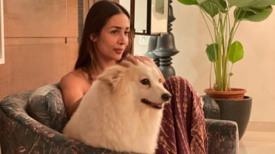 Malaika Arora introduces her ‘forever companion’ to the world and it is NOT Arjun Kapoor