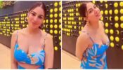 Mausam Haseen Hai, Mann Udaas Hai: Is everything fine with Shraddha Arya?