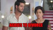 Meet spoiler alert: Meet Hooda agrees to divorce Meet Ahlawat