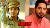 Meet spoiler alert: OMG! Meet Hooda arrests Shanty