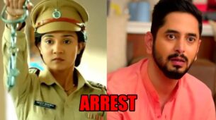 Meet spoiler alert: OMG! Meet Hooda arrests Shanty