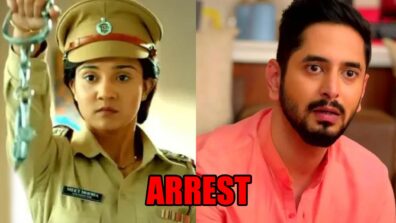 Meet spoiler alert: OMG! Meet Hooda arrests Shanty