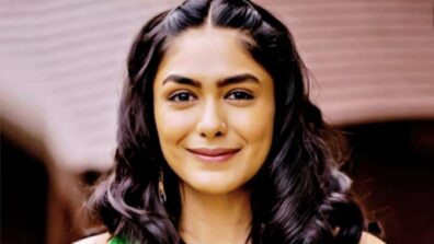 Mrunal Thakur Wishes To Explore Romance Genre Next After Jersey: Read