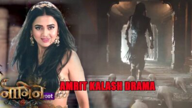 Naagin 6 Spoiler Alert: Amrit Kalash drama escalates