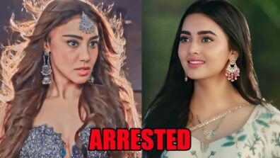 Naagin 6 spoiler alert: OMG! Mehak gets Pratha arrested