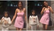 Nia Sharma has got the cutest dance partner, watch video