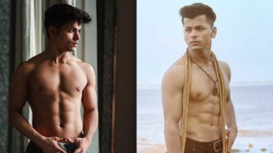 OMG: Siddharth Nigam’s Abs Are Making Us Melt, Causing The Temperature To Rise: Are You Crushing?