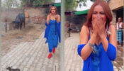 OOPS: Nia Sharma’s awkward encounter with desi buffalo