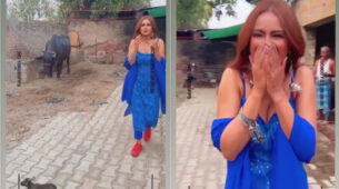 OOPS: Nia Sharma’s awkward encounter with desi buffalo