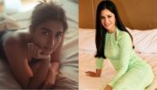 Pooja Hegde and Katrina Kaif share sensuous bedroom moments, fans can’t keep calm