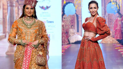 Ramp Fashion Face-off Divyanka Tripathi Vs Malaika Arora: Who posed like a regal queen? (Vote Now)