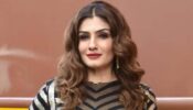 Re-Watch These Classic Raveena Tandon’s Films And Enjoy Her Timeless Performances