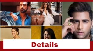 Rubina Dilaik, Sriti Jha To Tushar Kalia: All You Need To Know About Khatron Ke Khiladi 12 Contestants