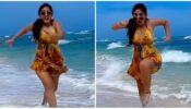 Sameeksha Sud romps on the beach, watch viral video