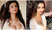 Video: Throwback to when Anveshi Jain crossed all limits of boldness in her private bedroom