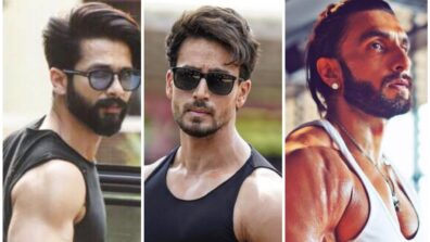 Shahid Kapoor, Tiger Shroff, Ranveer Singh: B-Town Men Set Standards High In 2022