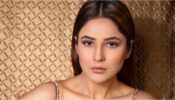 Shehnaaz Gill’s Lehengas Are Suitable For Every Wedding Ritual: Pics Here