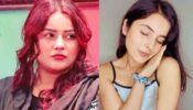 Shehnaaz Gill’s Transformation Is What We Need In Our Life