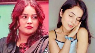 Shehnaaz Gill’s Transformation Is What We Need In Our Life