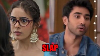 Spy Bahu spoiler alert: Sejal slaps Vyom