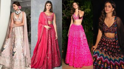 Tara Sutaria And Ananya Panday Raise Fashion Standards: Whose Lehenga Collection Are You Going To Steal?