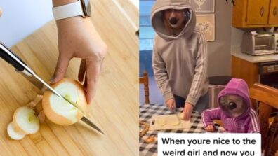 This Is How You Can Cut Onions Like A Pro, Check Out This Genius Yet Hilarious Video