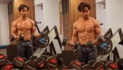Tiger Shroff leaves rumoured girlfriend Disha Patani lovestruck with dumbbells workout, watch 