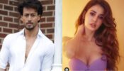 Tiger Shroff leaves rumoured girlfriend Disha Patani lovestruck with his swagger look, watch here