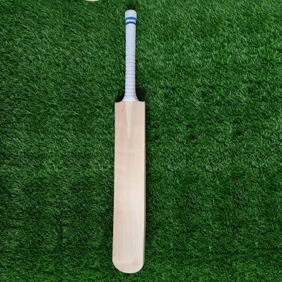 Try These 5 Best English Willow Cricket Bats In 2022 - 1