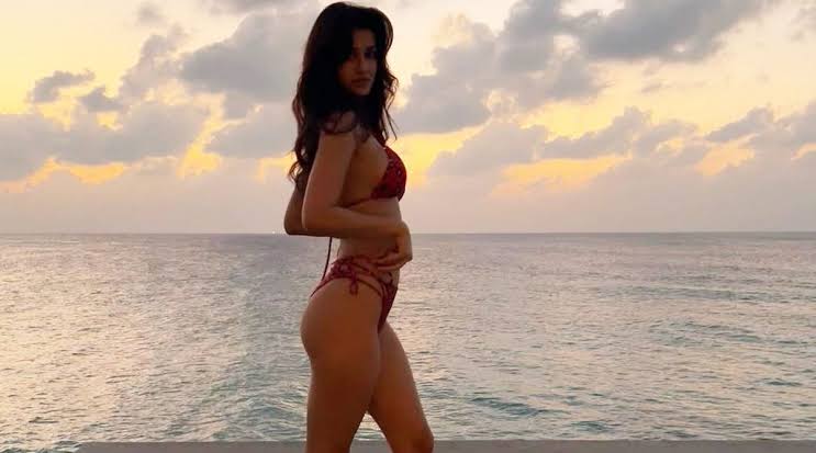 Vaani Kapoor, Disha Patani Or Katrina Kaif: Vote For Your Desirable Bikini Babe - 1