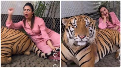 Divyanka Tripathi pets real dangerous tiger like a pro, fans stunned