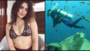 What A Diva: Sanya Malhotra gives major ‘tropical vibes’ in latest snap, fans in love