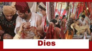 Woh Toh Hai Albelaa Spoiler Alert: Cheeru dies; unites Kanha-Sayuri