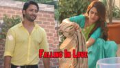Woh Toh Hai Albelaa Spoiler Alert: Is Kanha falling in love? 