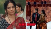 Yeh Hai Chahatein Spoiler Alert: Revati plans Rudraksh and Preesha’s accident