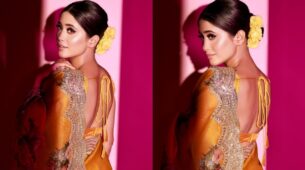 YRKKH fame Shivangi Joshi flaunts sensuous figure in backless saree, are you feeling the heat?