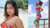 5 times, Hina Khan raised the temperature in the swimwear